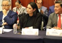 Araceli Saucedo integra comisión de Hacienda y Crédito Público en el Senado de la República