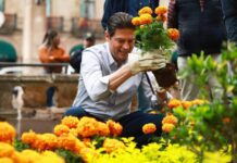 Con miles de flores de cempasúchil ayuntamiento adorna las plazas públicas