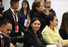 Araceli Saucedo propone fortalecer legislación y cerrarle paso a la violencia política en México