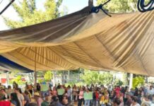 Nuevo ridículo de Bedolla, Piña, Celis y morena