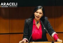 Desde el Senado aportamos a fortalecer la seguridad en el país: Araceli Saucedo Reyes