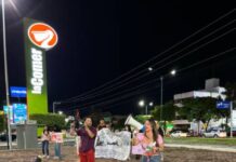 Activistas alertan sobre riesgos en reforma de protección animal