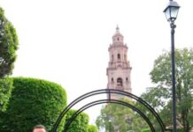 Miles de nochebuenas comienzan a decorar Morelia para época decembrina