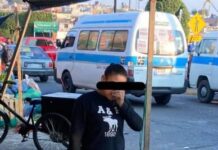 Impunidad y violencia: FGE ignora denuncias de maltrato animal en Zitácuaro