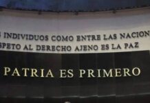 Desde el Senado se garantiza atención a mujeres y fortalecer la administración pública federal: Araceli Saucedo