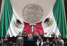 Cámara de Diputados guardó minuto de silencio por menores fallecidos en hospitales