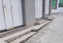 En Michoacán se reporta otro caso de envenamiento masivo de perros; animalistas exigen investigación