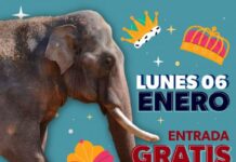 Niñas y niños entrarán gratis al zoo por Día de Reyes