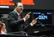 URGE DECLARAR A MÉXICO COMO UN PAÍS LIBRE DE CULTIVOS DE MAÍZ GENÉTICAMENTE MODIFICADOS: DIP. REGINALDO SANDOVAL