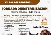 Primera Feria de Esterilización 2025: Por un Futuro sin Abandono Animal