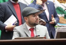 Urge trabajo coordinado para garantizar seguridad en Michoacán: Reyes Galindo