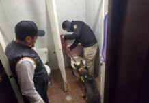 Realizan cateo en bar de Morelia y asegura 150 dosis de narcótico