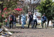 Parque Lineal de avenida Quinceo será equiparable al del Boulevard García de León