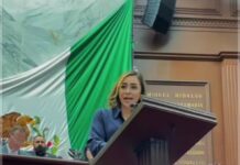 Reforma a Ley Orgánica de Administración Pública no garantiza transparencia ni rendición de cuentas: Grecia Aguilar Mercado