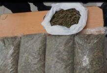 POR POSESIÓN DE MARIHUANA, FGR OBTIENE VINCULACIÓN A PROCESO CONTRA TRES PERSONAS