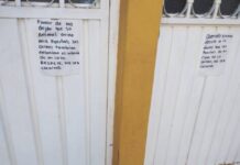 Vecinos de La Molino de Parras exigen freno a dueños irresponsables de mascotas