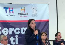 Urge atención eficiente y personal médico para pacientes renales en Michoacán: diputada Tere Herrera