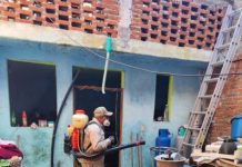 Michoacán se mantiene sin defunciones por dengue: SSM