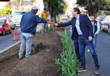Alfonso Martínez supervisa rehabilitación de camellón en Artilleros del 47