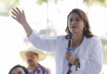 Campo michoacano, prioridad en la 4T: Fabiola Alanís