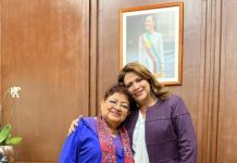 Fabiola Alanís expone logros legislativos de la 4T en Michoacán ante Gobierno de México