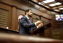 Octavio Ocampo presentó iniciativa para que Michoacán refuerce la defensa animal al sancionar la falta de auxilio a los animales