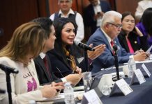 Reforma constitucional a favor de las y los jóvenes garantiza desarrollo de las juventudes: Araceli Saucedo