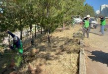 Con jornadas de limpieza, Gobierno de Morelia garantiza brillo de espacios públicos