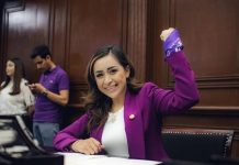 Fracción de MC respalda reformas contra deudores alimentarios: Grecia Aguilar