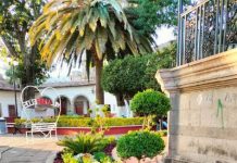 Mejoran imagen urbana en Morelos, con la instalación de jardineras en la plaza principal