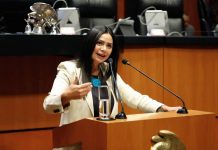 Digitalización de servicios gubernamentales beneficiará a millones de mexicanos: Araceli Saucedo