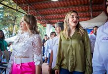 Brissa Arroyo, Diputada municipalista