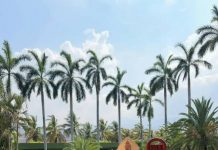 Obispo de Apatzingán: Ejército no debería impugnar orden judicial para desactivar minas en Tierra Caliente