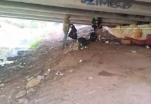 Gobierno de Morelia interviene bajo puentes de Av. Solidaridad