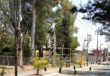 Ayuntamiento de Morelia realiza acciones de mantenimiento y embellecimiento urbano al poniente