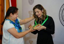 Con orgullo viviremos la Feria del Geranio de Tingambato: Brissa Arroyo