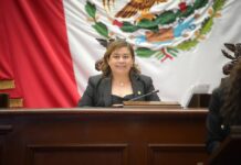 Preocupantes las agresiones en el país a los médicos veterinarios: Belinda Iturbide