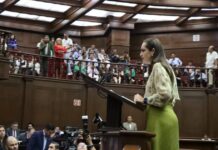Prohíbe 76 Legislatura las corridas de toros y sanciona las peleas de animales de cualquier especie