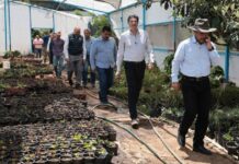 Gobierno de Alfonso Martínez recupera ojo de agua del Vivero Municipal
