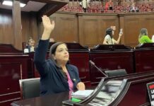 Diputada Tere Herrera pide escuchar a madres buscadoras para enriquecer leyes