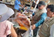 SSM intensifica vigilancia sanitaria en la región lacustre por Semana Santa