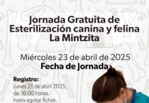 Esterilizar para no abandonar: Hermano Animal lanza jornada gratuita en La Mintzita