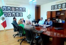 SESNAS se reúne con autoridades del IMSS Bienestar