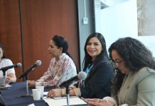 Comisión de Puertos e Infraestructura Marítima en el Senado promueve el impulso de este sector clave para el desarrollo nacional: Araceli Saucedo