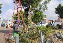Gobierno de Morelia implementa jornada de limpieza y manteniendo en Parque Lineal Bicentenario