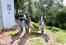 En colonia Cayetano Andrade, encabeza Yankel Benítez jornada de limpieza