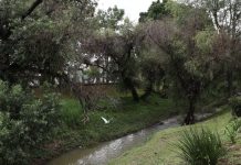 Gobierno de Morelia recupera la imagen urbana del parque lineal del Río Chiquito