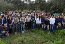 Morelia planta futuro: Alfonso Martínez encabeza jornada de reforestación en Chiquimitío