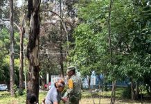 Secretaría de Servicios Públicos encabeza jornada de limpieza en colonias Juana Pavón y Fuentes de Morelia