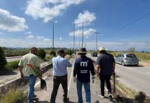 Gobierno de Morelia, ciudadanía e iniciativa privada realizan jornada integral en avenida Oscar Chávez